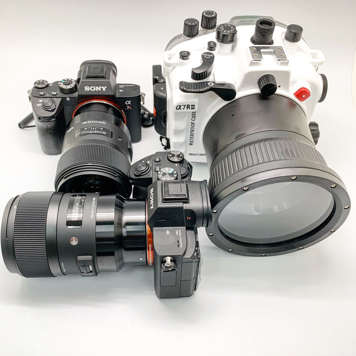 SIGMA 35MM F1.4 E-MOUNT WITH SONY A7 III / A7R III PERFECTLY WORKS INSIDE SEAFROGS UNDERWATER CAMERA HOUSING FOR A7 III/ A7R III UNIT WITH FLAT PORT FOR 90MM LENS AND THE BEST PART ABOUT IT IS MANUAL FOCUS CONTROL AVAILABILITY!
