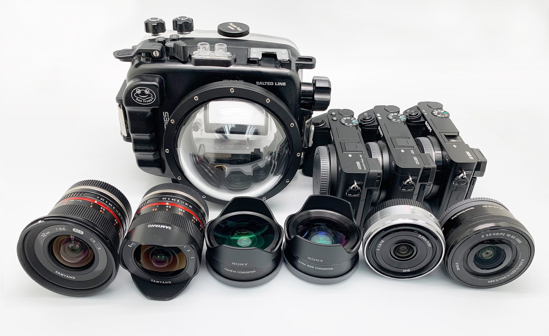 SeaFrogs A6xxx series Salted Line Underwater Housing with small 4 inch dome port.